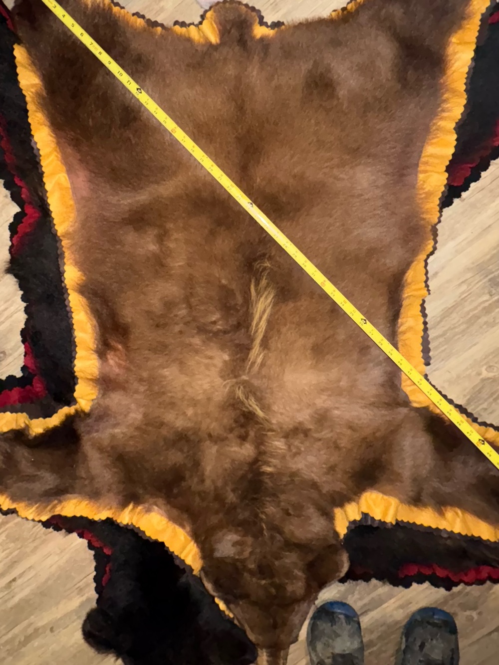 Real Brown Bear Fur Rug with Yellow and Black Trim